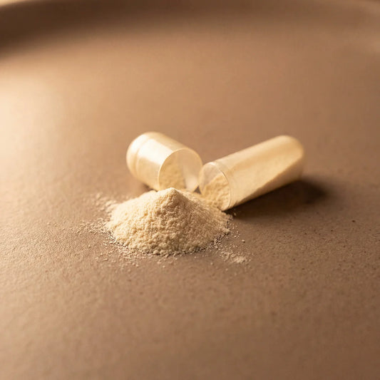 Biofermentiertes ERGO-SUPREME | 90 Kapseln