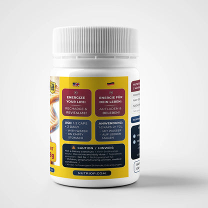 NMN PLUS + NADH & NAD+ | 50 vegane Kapseln