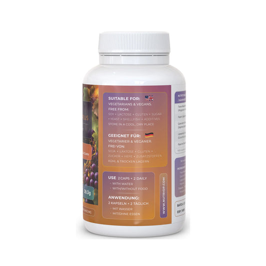 Resveratrol PLUS – Quercetin, Fisetin, Curcumin, Piperin | 60 Kapseln